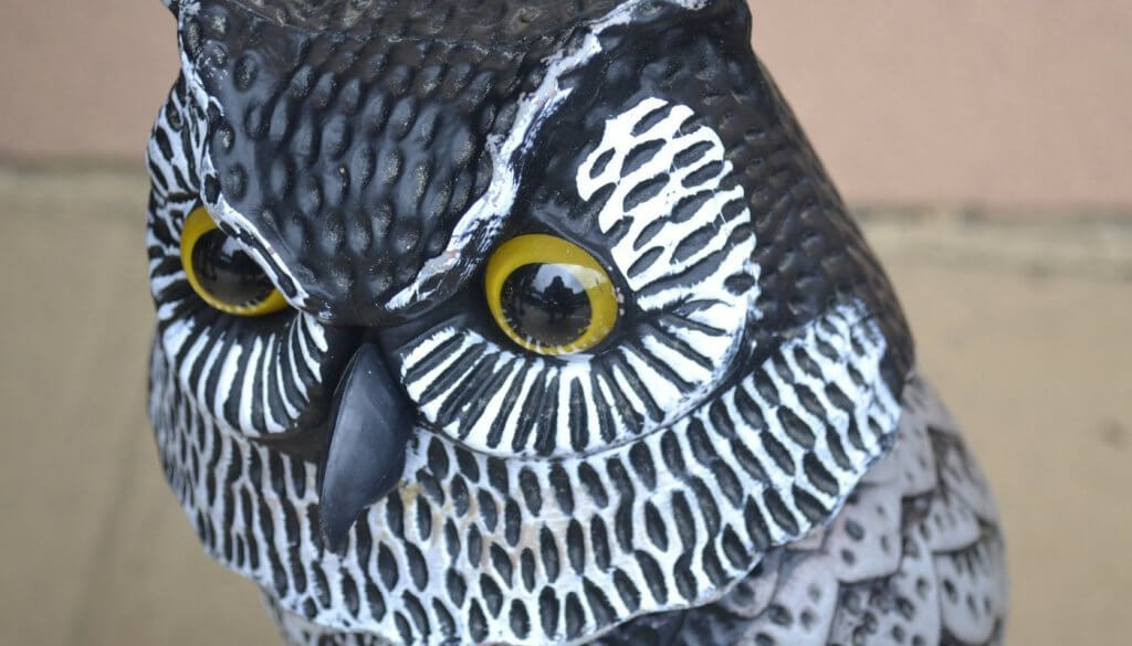 A realistic hawk decoy as a visual bird deterrent