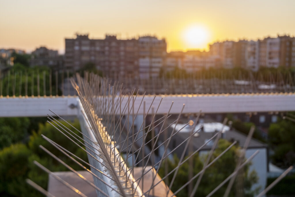 bird spikes used on structures such as awnings, windows and in construction to deter pigeons and other birds