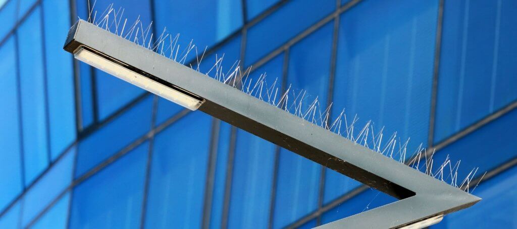 Bird spikes installed on a pole, impacting the visual appearance