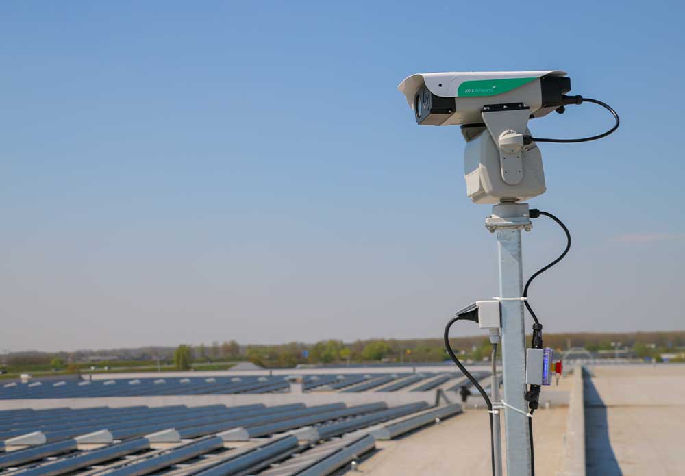 Automated Laser Bird Deterrent